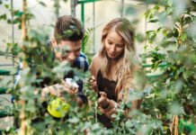 Live Concerts: The Experience of a Lifetime