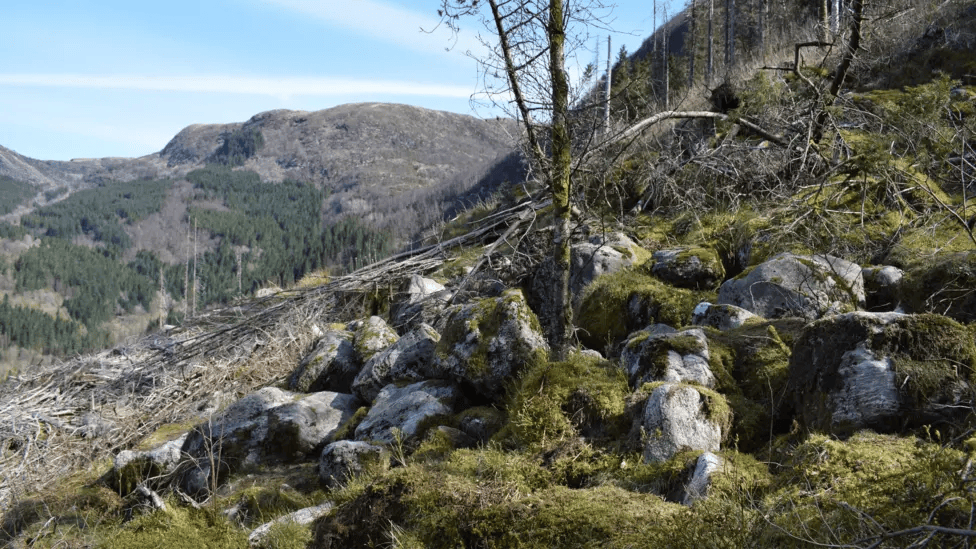 Spot where the Isdal Woman was Found