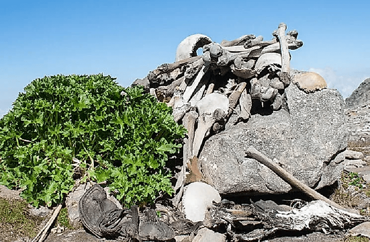The Roopkund Skeleton Lake Mystery 7 Skeletons from the Roopkund Lake