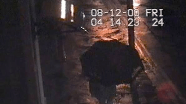 CCTV Image of Trevor Deely's Last Confirmed Sighting, Source: The Irish Times