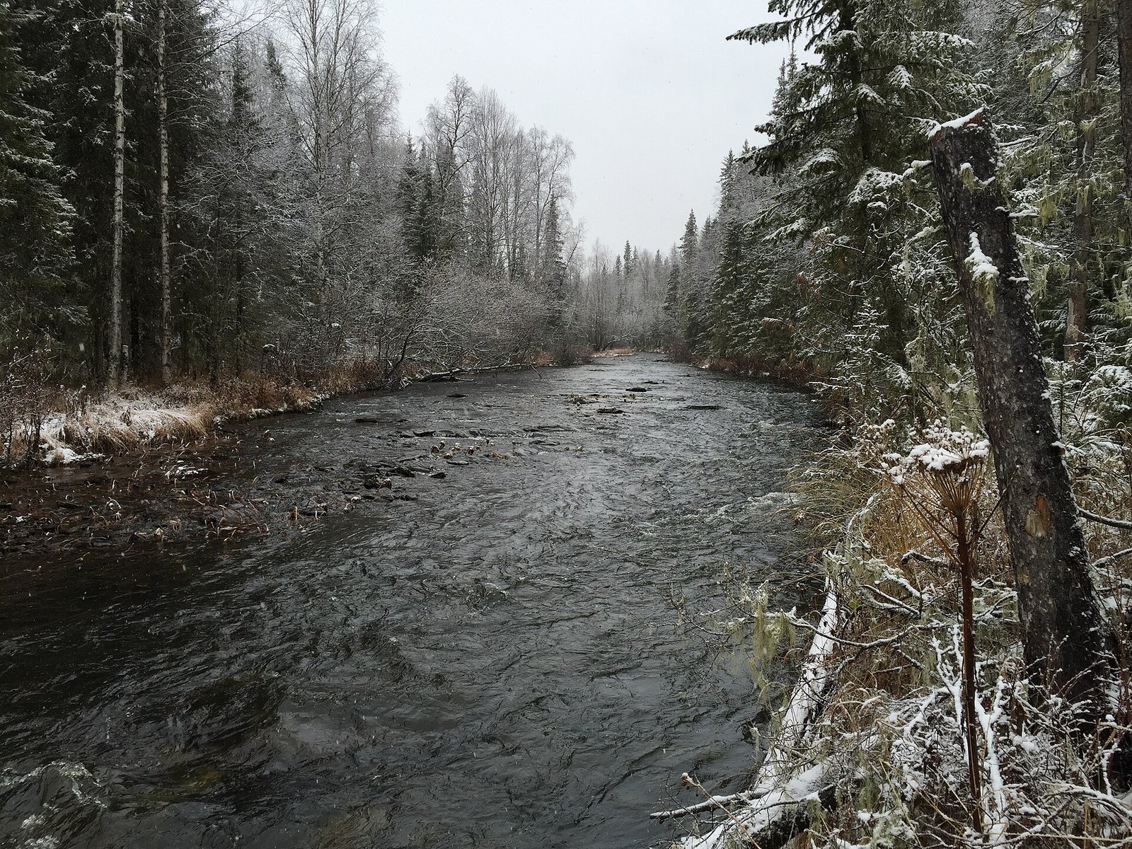 Dyatlov Pass Incident Explained: Truth and Theories 6 The Auspiya River, part of the Dyatlov group's route in January 1959