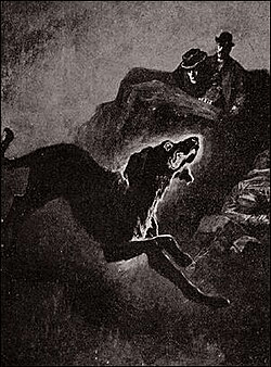Phantom Black Dog