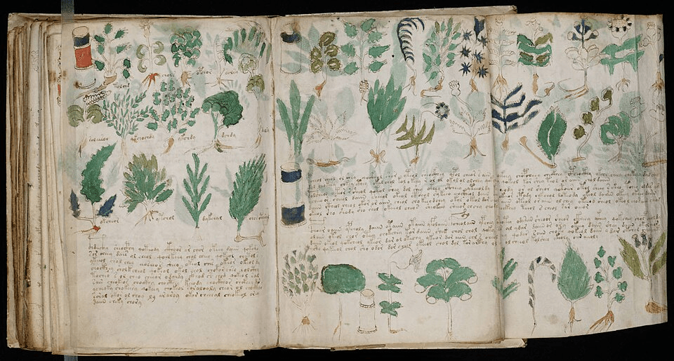 The Voynich Manuscript: The Strange Book Still Undeciphered 5 Pages of the Voynich Manuscript Showing Mysterious Plant Illustrations, Texts, and Diagrams, Source: Wikimedia Commons