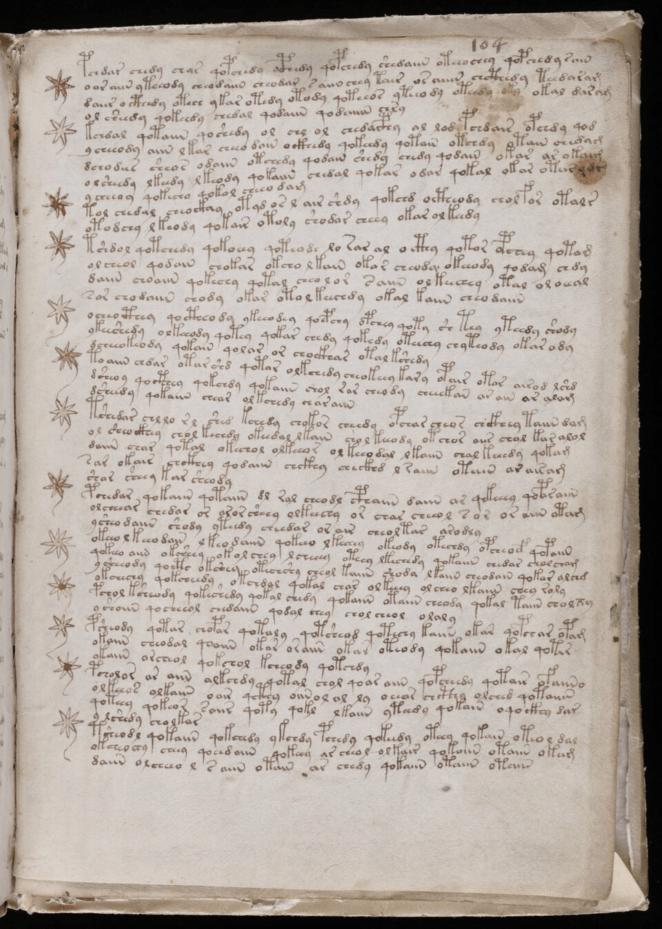 The Voynich Manuscript: The Strange Book Still Undeciphered 6 Voynich Manuscript 185