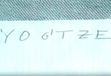 YOGTZE Case: The Mystery of Günther Stoll