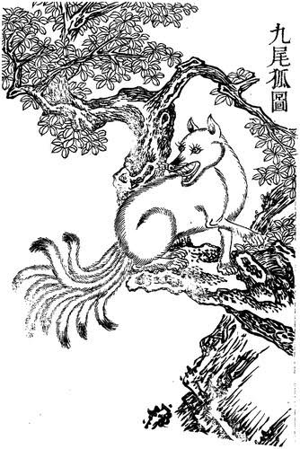 Top 5 Chinese Folklore Stories That Will Leave You Wondering 4 Hulijing, Nine-Tailed Fox Spirit in Qing Dynasty (A Vectorization of an Illustration from the Chinese Encyclopedia Gujin Tushu Jicheng)