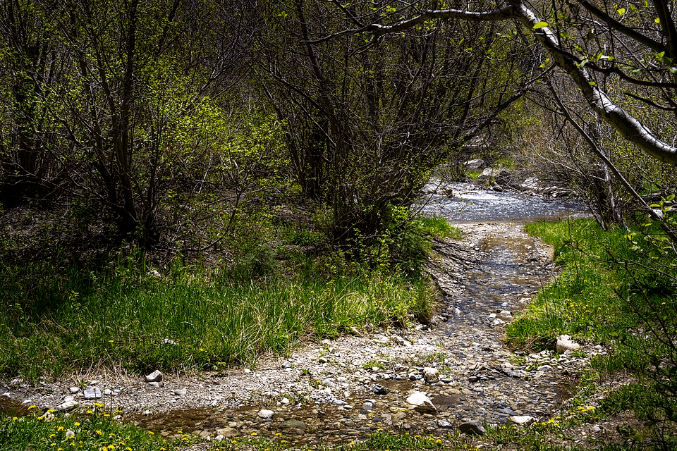A Scenery from Taos, New Mexico